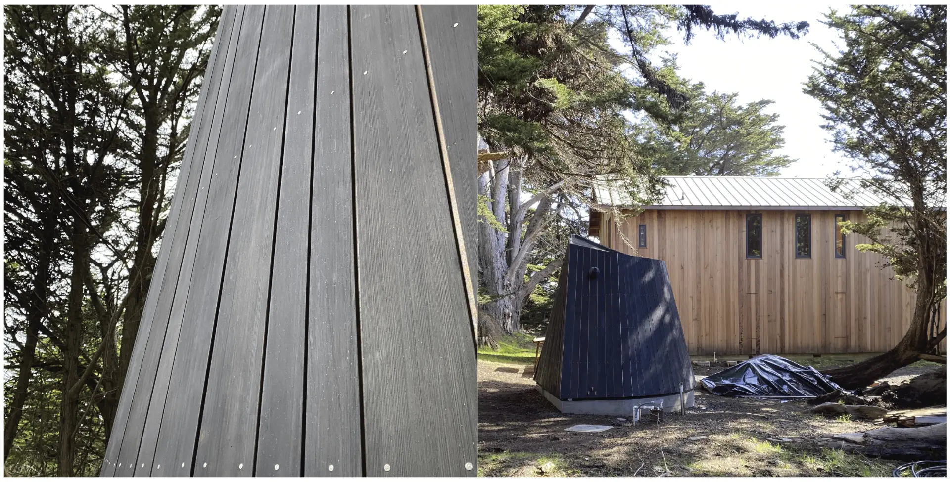 Finished Pump House exterior: charred cedar cladding and light wood siding set among cypress trees