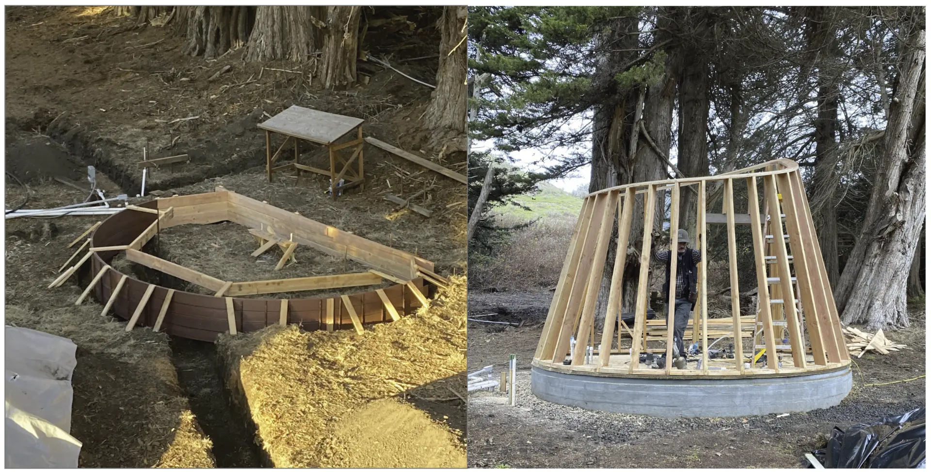 On-site construction of the Pump House: wooden formwork and framing set into a hillside among cypress trees